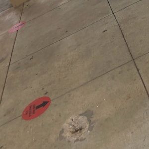 Meet your Posher, Zoey